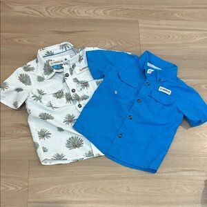 Magellan Outdoors Tropical Print and Bright Blue Button Down Shirts (set of 2)